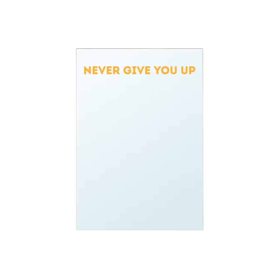 Miroir Never give you up - Rick Astley